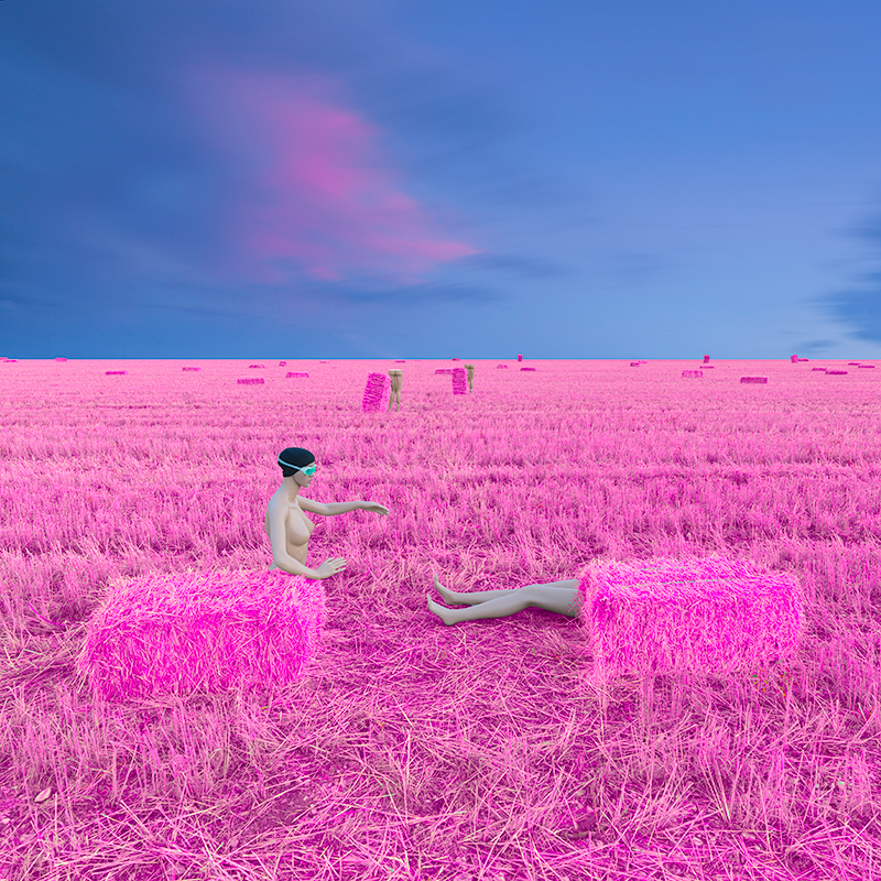 Conceptuel #23